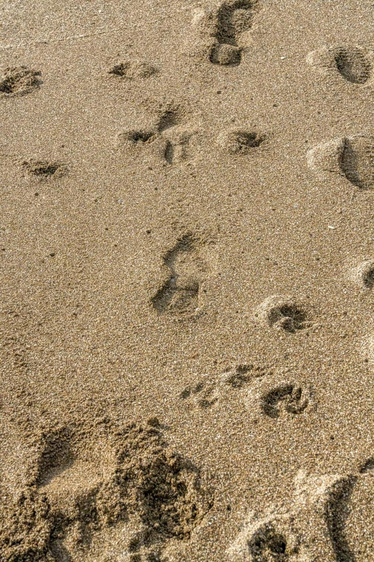 Pet Friendly Sea View Villa Millendreath Looe Cameră foto