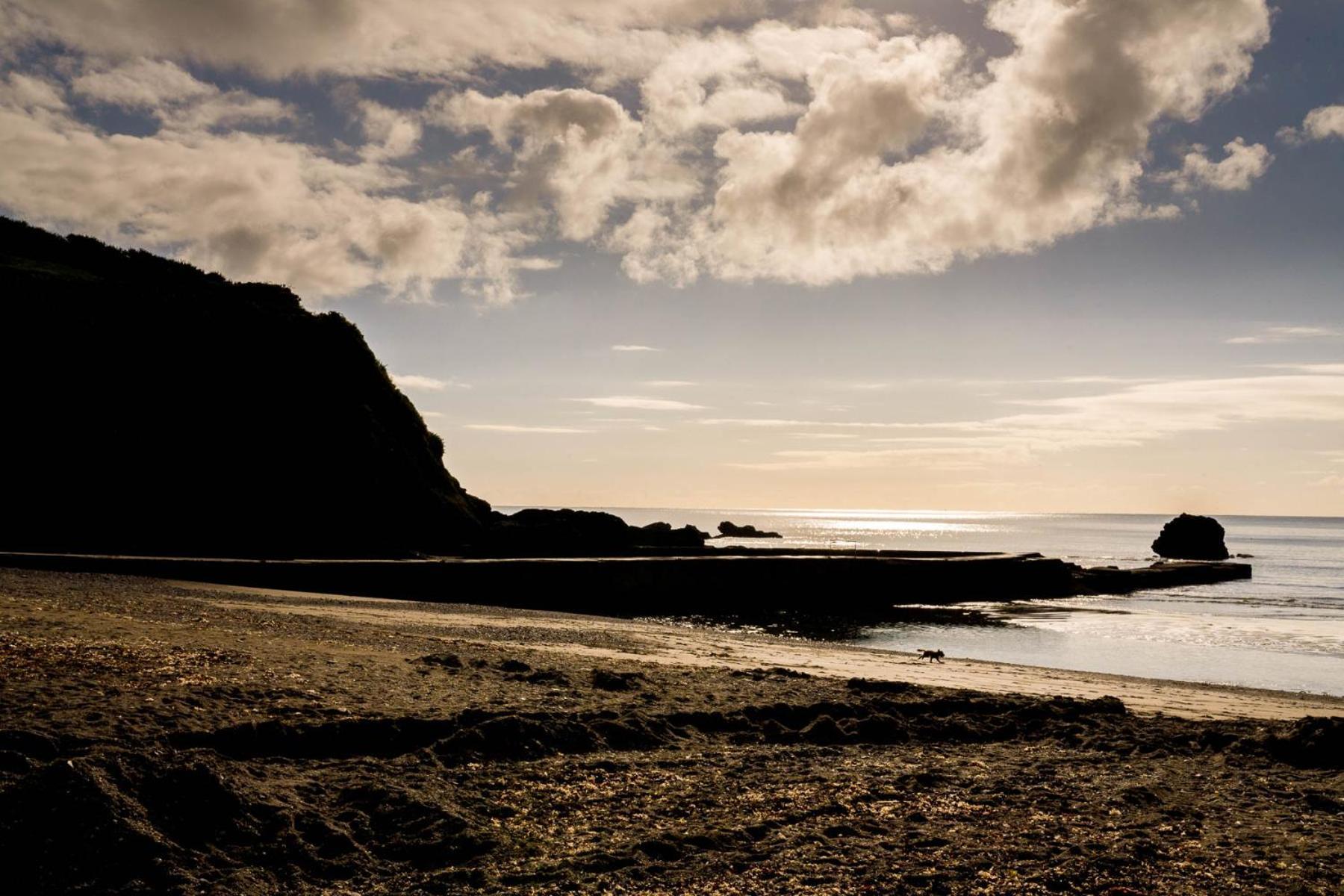 Pet Friendly Sea View Villa Millendreath Looe Exterior foto
